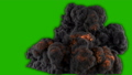 Realistic Giant explosion and black smoke in front of a green screen. VFX element. 52993291