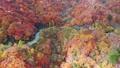 空撮　日光いろは坂の紅葉　秋 53240714
