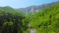 ドローン空撮 新緑の大山 渓谷を飛ぶ 前進 54534584