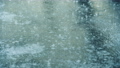 雨（フィクス撮影） 55950855