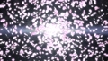 爆発と桜/黒背景 56616830