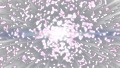 爆発と桜/透過背景 56616836