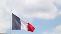 Close up flag of France waving in the wind 56646791