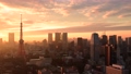 東京観光スポット　東京タワー　4K対応 56752945