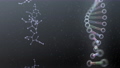 DNA 遺伝子 染色体 二重らせん バイオ テクノロジー 抽象的 背景 バックグラウンド 57093471