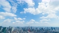 東京風景　超広角　タイムラプス　4k 東京タワーと街並み　2019年 ズームアウト 57676800