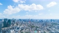 東京風景　ワイド　タイムラプス　4k 東京タワーと街並み　Spt.2019年 ティルト 57692017