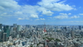 東京ランドスケイプ　快晴の都市風景　センターに東京タワー　ワイド　タイムラプス　パン 57736084