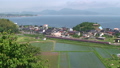 JR西日本特急やくも走行シーン山陰本線夏 59697108