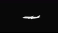 アルファチャンネル - 飛行する旅客機　横向き 60432978