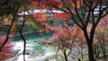 京都嵐山トロッコ列車からの紅葉4K 60961791