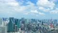 東京　2019　空撮風　タイムラプス　六本木から望む東京スカイツリー＆東京タワー方面 61470207
