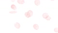 桜の花びらが散るアニメーション・水彩 62111587