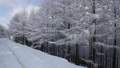  Winter view of Hambaeksan 62599618