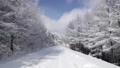  Winter view of Hambaeksan 62599619