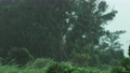 Typhoon winds and rain in Okinawa Japan, global warming climate change 62723252