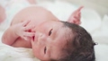 生後初日の新生児 63559818