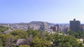 福山城　桜 64309986