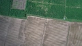 Thailand chiang mai countryside field farming drone 64413407