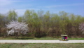 櫻桃樹，櫻桃樹風光，帕當湖公園，春天風光，自行車 64670583