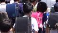 集団登校をする小学生　イメージ　スーパースロー　8倍速 240fps　2020年 66364249