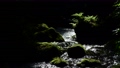 熊本県西原村にある白糸の滝初夏に新緑の美しい風景に癒される 66632888