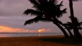 夕焼け空とヤシの木　ハワイ 67012114