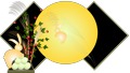 秋のお月見のイメージお月見団子とうさぎに薄のイラストアニメーション動画アルファチャンネル動画 67219358