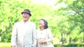手をつないで歩くシニアカップル 67546571