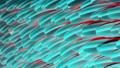 Beautiful Background Of Iridescent Feathers 68205199