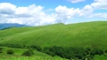夏の霧ヶ峰高原 68350598