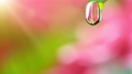 fresh green leaf with water drop, relaxation concept , filmed on cinema slow motion camera at 1000 fps 69228543