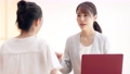接客イメージ　女性コンサルタント 70037861
