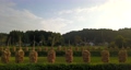 天日干しされる稲が立ち並ぶ田舎の空撮映像 70106999