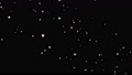 舞い落ちる桜の花吹雪。花びらがひらひらと落ちる動画素材。 70161979