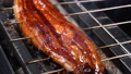 炭火焼き鰻 70224535