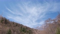 春先の高原から見た青空と白い薄雲 72791053