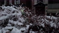 在一個下雪的晚上的植物和房屋 73435232