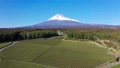 冠雪の富士山と裾野に広がるお茶畑 74340089