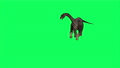 4k animation -Brachiosaurus Walking On Green Screen Background.Jurassic World Dinosaurs	 74655894