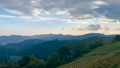 Timelapse cloudy on tea field in springtime with sunset background 75608446