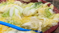 washed cabbage for make kimchi. 76418201
