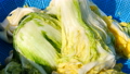 washed cabbage for make kimchi. 76418202