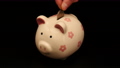 put coin into piggy bank. 76418206