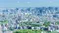 8K 東京風景　タイムラプス 青空と緑　ティルト 76665140