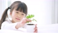 植物を見る女の子　環境イメージ　スローモーション 77285839