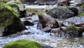 透明度の高い渓流。滋賀県朽木周辺の一眼レフ4K映像_3 78897631