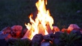 Graded shot of the burning campfire, taken with a fast macro lens in UHD 79089878