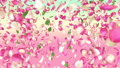 ピンクのバラの花びらの花吹雪動画 79332784