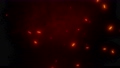 4K　ループするゆらゆらと上昇する火の粉火花 79661840
